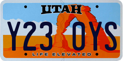 UT license plate Y230YS