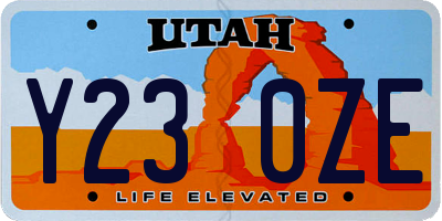 UT license plate Y230ZE