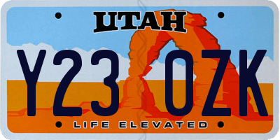 UT license plate Y230ZK