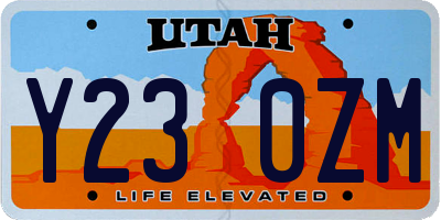 UT license plate Y230ZM