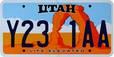 UT license plate Y231AA