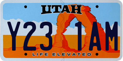 UT license plate Y231AM
