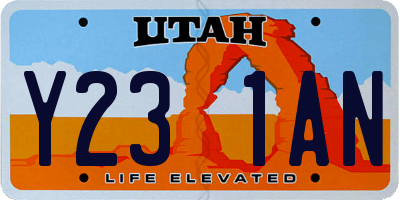 UT license plate Y231AN