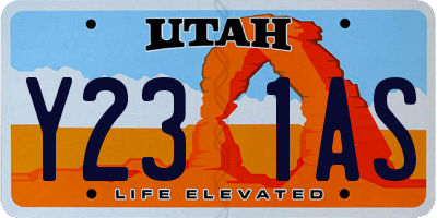 UT license plate Y231AS