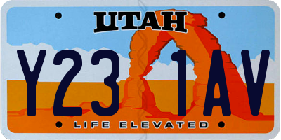 UT license plate Y231AV