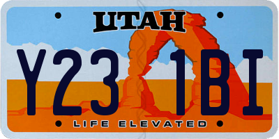 UT license plate Y231BI