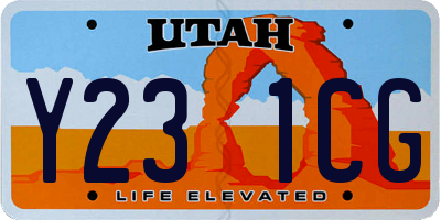 UT license plate Y231CG