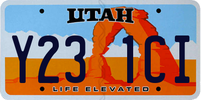 UT license plate Y231CI