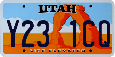 UT license plate Y231CQ
