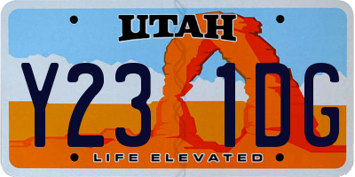 UT license plate Y231DG