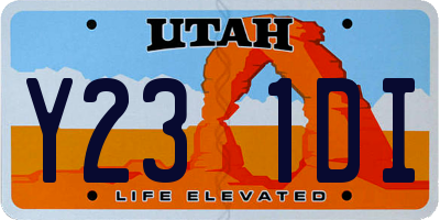 UT license plate Y231DI