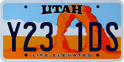 UT license plate Y231DS
