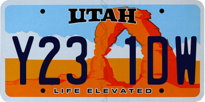 UT license plate Y231DW