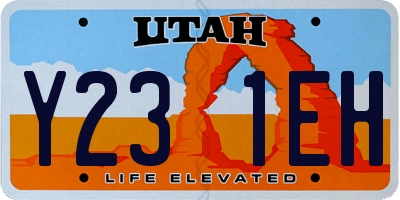 UT license plate Y231EH