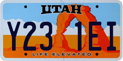 UT license plate Y231EI