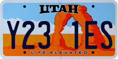 UT license plate Y231ES