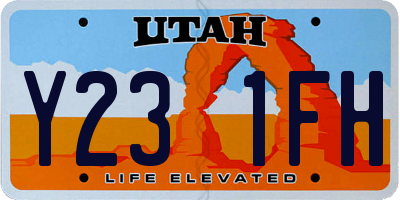 UT license plate Y231FH