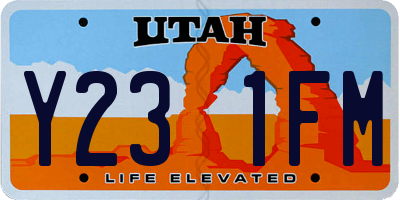 UT license plate Y231FM