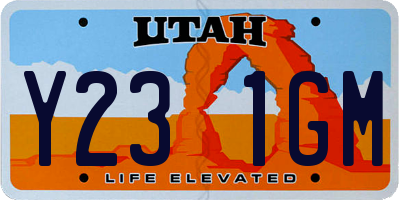 UT license plate Y231GM