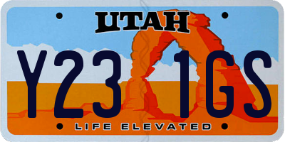 UT license plate Y231GS