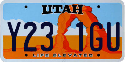 UT license plate Y231GU