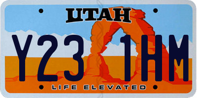 UT license plate Y231HM