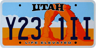 UT license plate Y231II