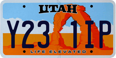 UT license plate Y231IP