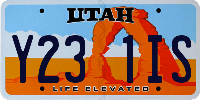 UT license plate Y231IS