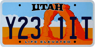 UT license plate Y231IT