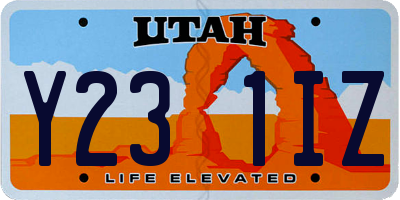 UT license plate Y231IZ