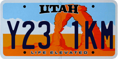 UT license plate Y231KM