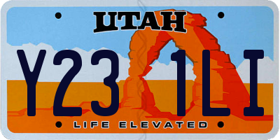 UT license plate Y231LI
