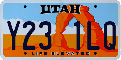 UT license plate Y231LQ