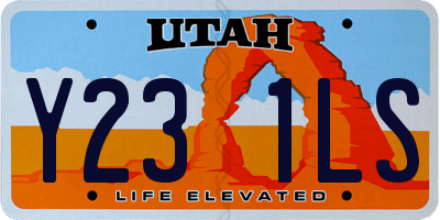UT license plate Y231LS