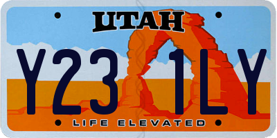 UT license plate Y231LY