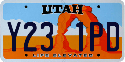 UT license plate Y231PD