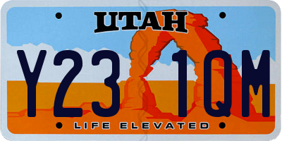UT license plate Y231QM