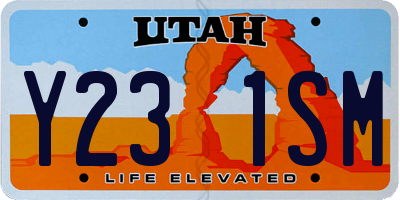 UT license plate Y231SM