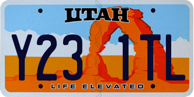 UT license plate Y231TL