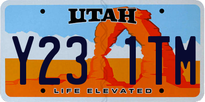 UT license plate Y231TM
