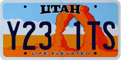 UT license plate Y231TS