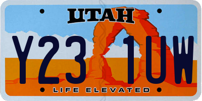 UT license plate Y231UW