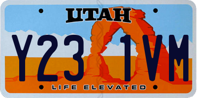 UT license plate Y231VM