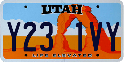 UT license plate Y231VY
