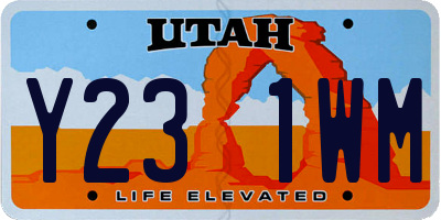 UT license plate Y231WM