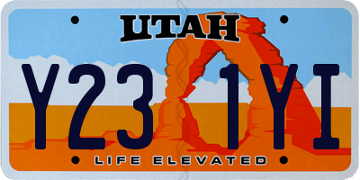 UT license plate Y231YI