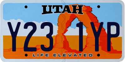 UT license plate Y231YP