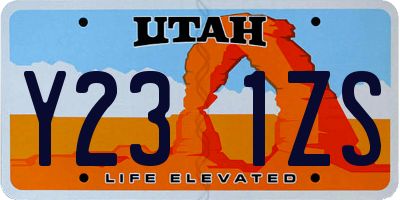 UT license plate Y231ZS