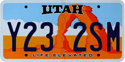 UT license plate Y232SM